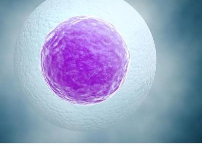 厦门医院能不能做试管婴儿，分享试管费用和成功率