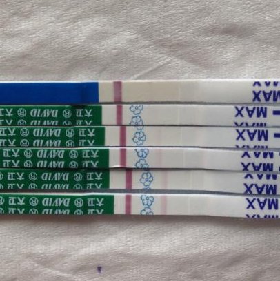 临汾单身未婚试管婴儿费用介绍，单身未婚试管成功率详解