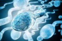 2026年染色体异常去井冈山附属医院做三代试管可以吗？贵吗成功率高不高