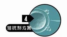 三代试管婴儿成功率与自然受孕成功率对比分析