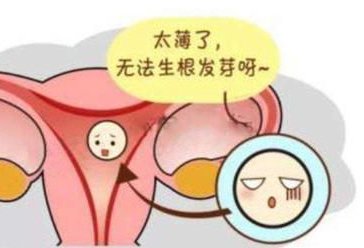 球蛋白试管婴儿（球蛋白偏高一点要紧吗？可以做试管婴儿吗？